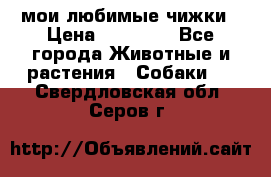 мои любимые чижки › Цена ­ 15 000 - Все города Животные и растения » Собаки   . Свердловская обл.,Серов г.